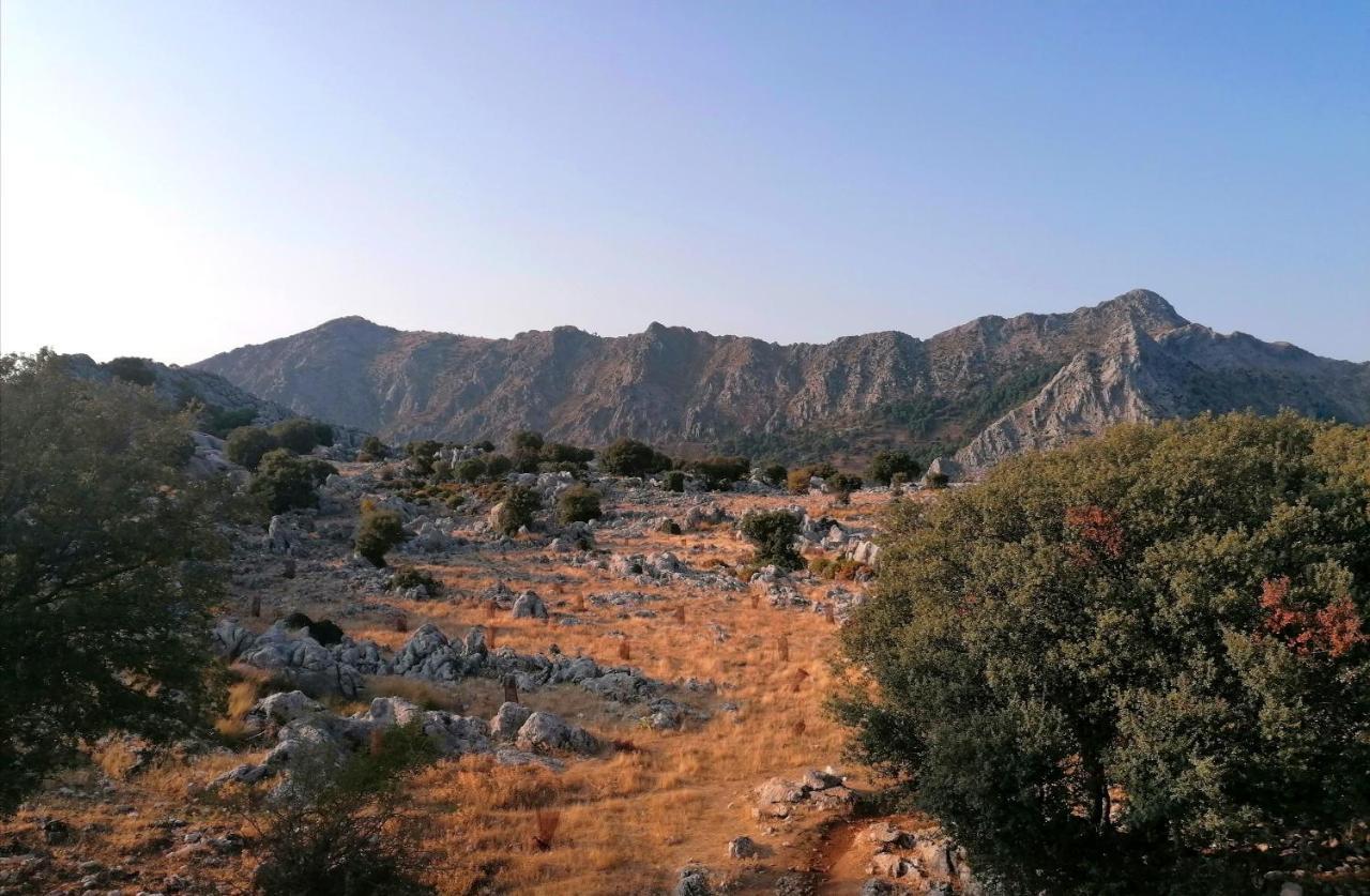 Casas Las Piedras De Agua Grazalema Eksteriør bilde